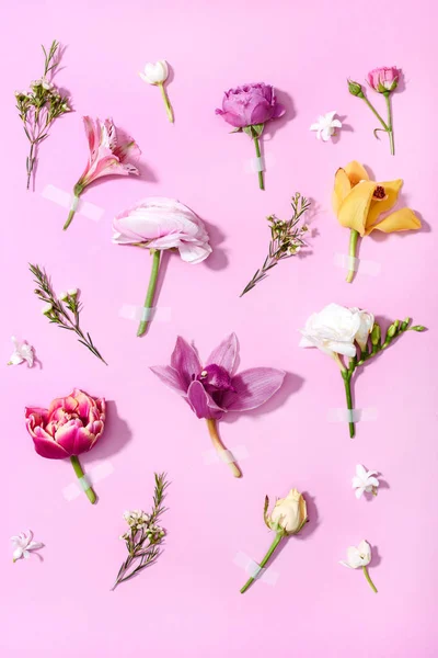 Hermosas flores en flor — Foto de Stock