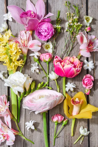 Beautiful blooming flowers
