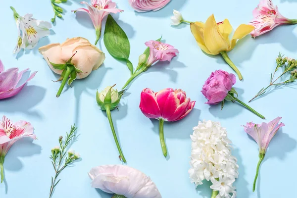 Hermosas flores en flor — Foto de Stock