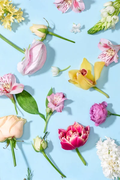 Gyönyörű virágzó virágok — Stock Fotó
