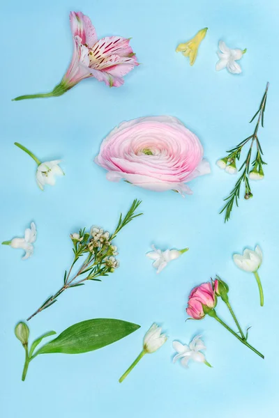 Schöne blühende Blumen — Stockfoto