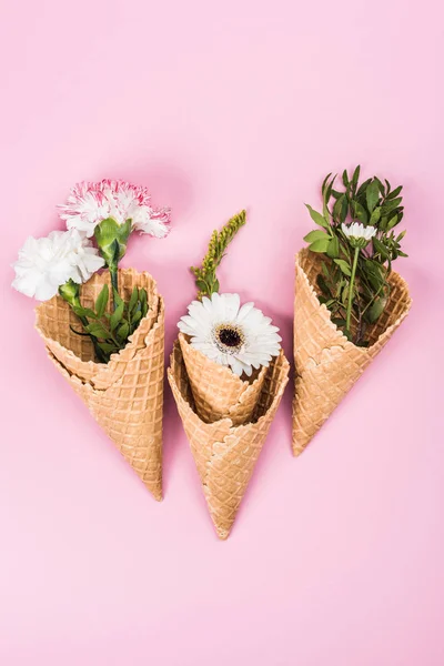 Flores en conos de azúcar - foto de stock