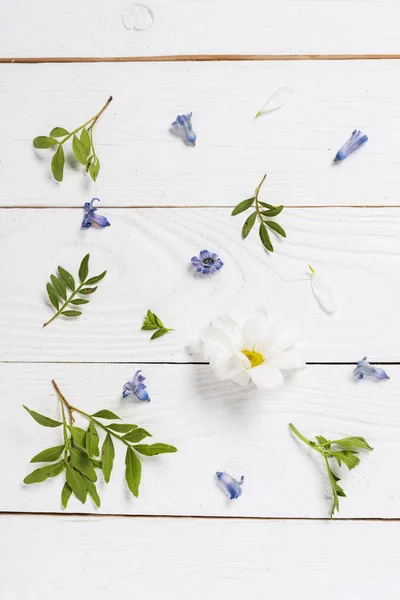 Blumen und Blütenblätter auf Holztisch — Stockfoto