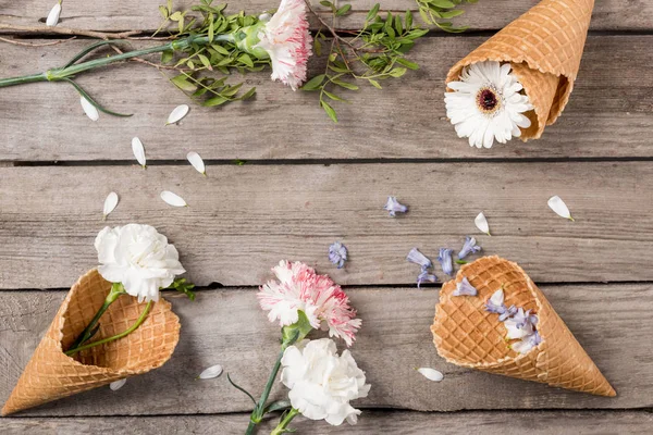 Blumen in Waffeltüten — Stockfoto