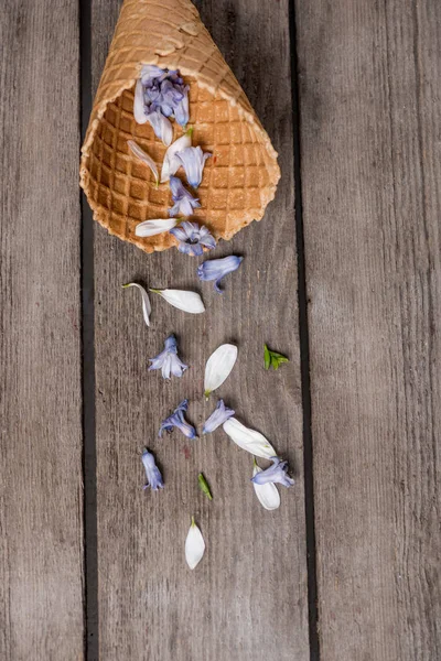 Cone de bolacha com pétalas — Fotografia de Stock