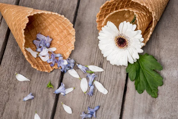 Flower and petals in wafer cones — Stock Photo