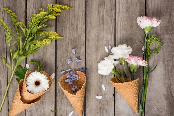 Blumen in Waffeltüten — Stockfoto