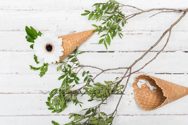 Crisântemo flor e waffle cones — Fotografia de Stock