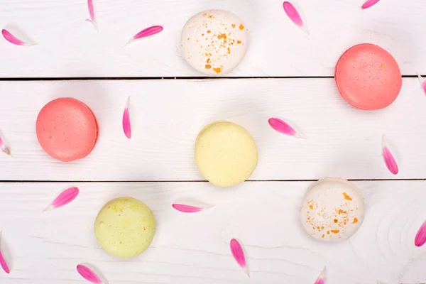 Macarons pattern with pink petals — Stock Photo