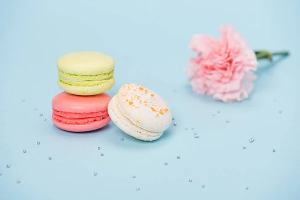 Three macarons with pink flower — Stock Photo