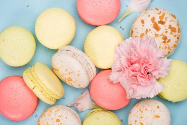 Fondo de macarons con flor rosa - foto de stock