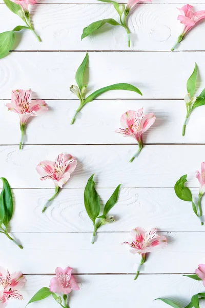 Hermosas flores en flor - foto de stock