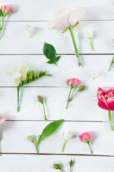 Hermosas flores en flor - foto de stock