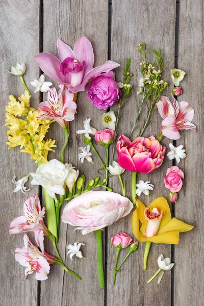 Beautiful blooming flowers — Stock Photo