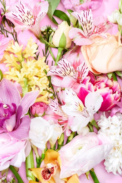 Beautiful blooming flowers — Stock Photo