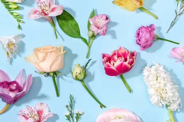 Hermosas flores en flor - foto de stock