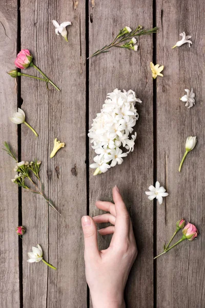 Flores y mano humana - foto de stock
