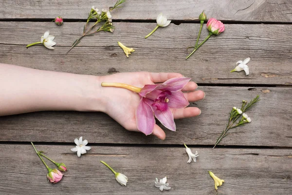 Flores y mano humana - foto de stock