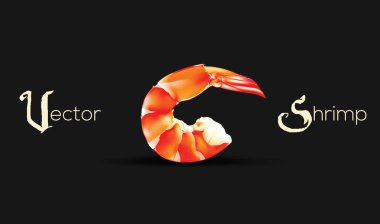 Vektör karides deniz ürünleri. Karides illüstrasyon izole siyah arka plan üzerine.