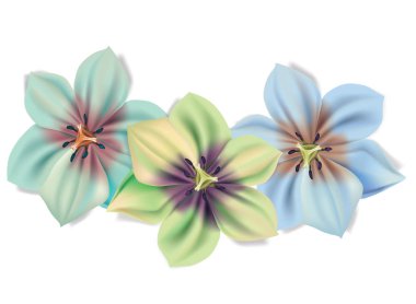 Güzel bir buket çiçek. Vektör yaz çiçek beyaz arka plan üzerinde izole. Çiçeği çiçek tasarımı için. Zambak farklı renkte.