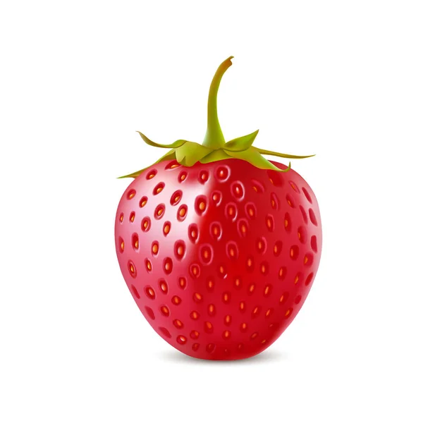 Fraise vecteur icône réaliste isolé sur fond blanc — Image vectorielle