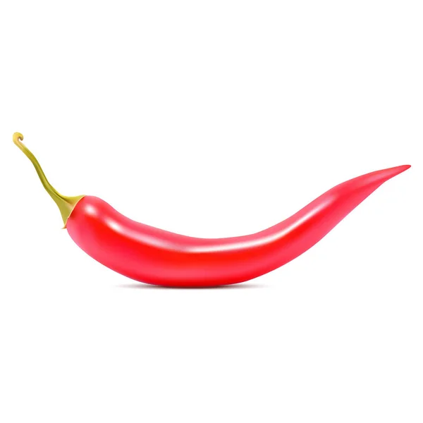 Realistic red hot chili pepper on white background. Vector illustration — Stock Vector