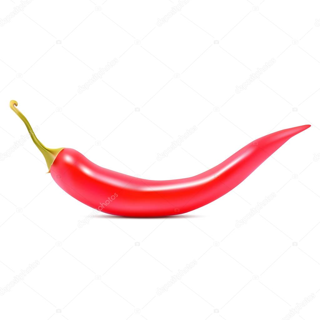 Realistic red hot chili pepper on white background. Vector illustration
