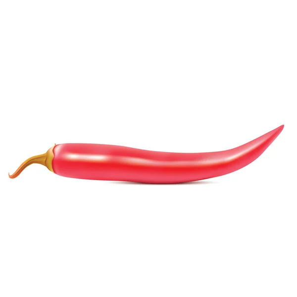 Realistische red hot chili peper op witte achtergrond. Vectorillustratie — Stockvector