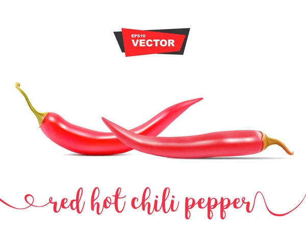 Twee realistische Red hot chili peppers op witte achtergrond. Vectorillustratie — Stockvector