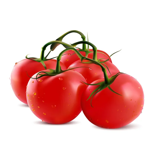 Photo-realistis cherry tomatoes on a branch - Stok Vektor