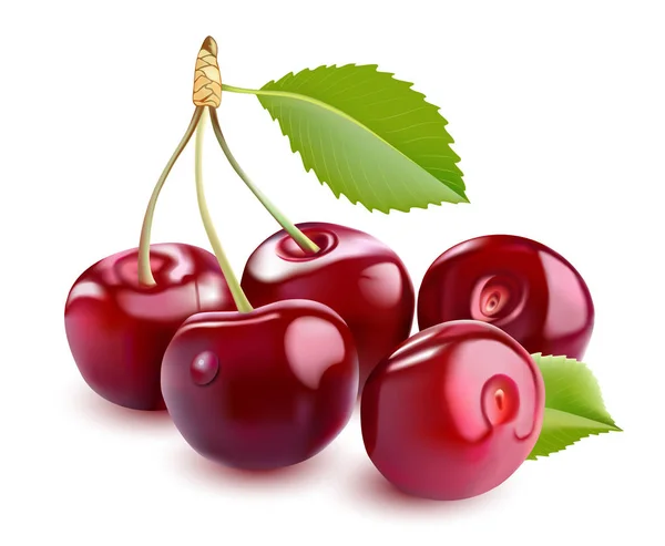 Słodkie 3d realistyczne Cherry, izolowana na białym tle. — Zdjęcie stockowe