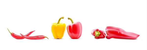 Verschiedene Arten von Paprika in allen Farben, Formen und Größen. Chilly-Peper-Ikonen. Vektorillustrationen. — Stockvektor