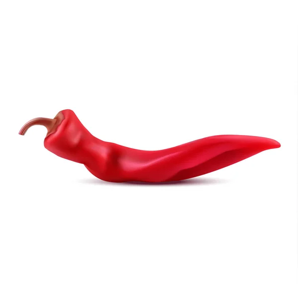 Vector realistische red hot chilipeper op witte achtergrond. — Stockvector