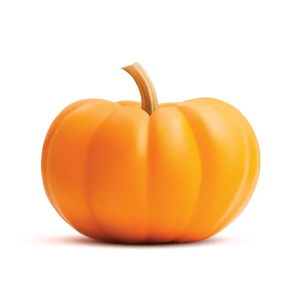 Bright orange vector realistic pumpkin isolated on white background — Stock Vector
