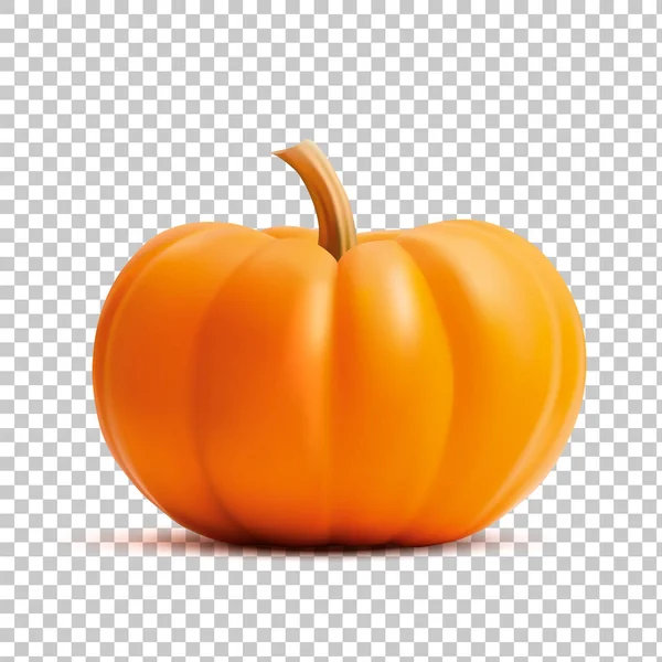 Bright orange vector realistic pumpkin isolated on transparency grid background — Stock Vector
