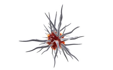 Virüs hücreleri ya da bakteri molekülleri beyaza izole edilmiş. Grip, mikroskop altında koronavirüs görüntüsü. Mikroplar, bakteriler, hücre enfekte olmuş organizmalar. COVID-19, H1N1, Domuz Gribi, Corona, Virüs. 3d Hazırlama.