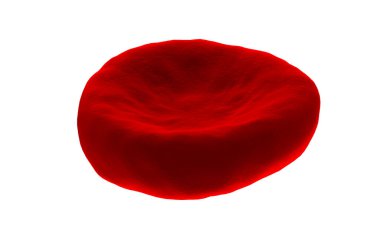 Beyaz arka planda izole edilmiş yüksek detay kan hücresi. Kırmızı kan hücresi. Sağlık ve tıbbi yakınlaştırma konsepti. 3d hazırlayıcı.