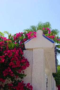 Güneye İspanyol şehir tipik street view. Torrevieja, İspanya.