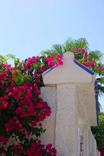 Güneye İspanyol şehir tipik street view. Torrevieja, İspanya.