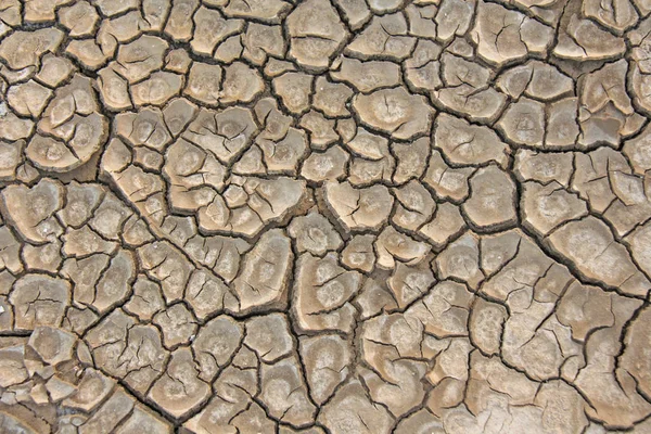 Άγονη γη. Ξηρά σκασμένα γήινο υπόβαθρο. Ραγισμένα λάσπη μοτίβο. Χώμα στις ρωγμές. Creviced υφή. Ξηρασίας του εδάφους. Ξηρασίας του περιβάλλοντος. — Φωτογραφία Αρχείου