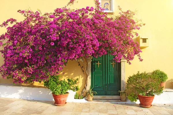 Ağaç pembe çiçekler ve kilise giriş, Corfu Island, Yunanistan — Stok fotoğraf
