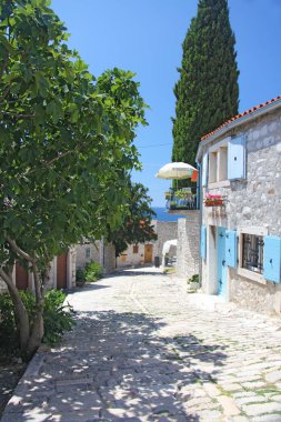 Yaz Yunan street bir ağaç ve bir Balkonlu. 