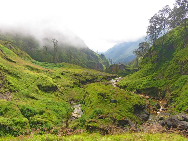 Hermoso valle verde y un río de montaña en el volcán de Rinjani, Indonesia . —  Fotos de Stock