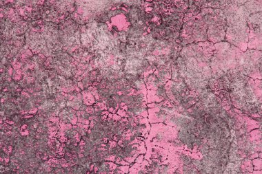 Eski lapa lapa grungy kırık duvardan peeling boya. Çatlaklar, çizik, peeling eski boya ve sıva arka plan üzerinde eski duvar çimento. Eski bir çimento taş pembe duvar vintage kırık. Kopya alanı ile tasarım.