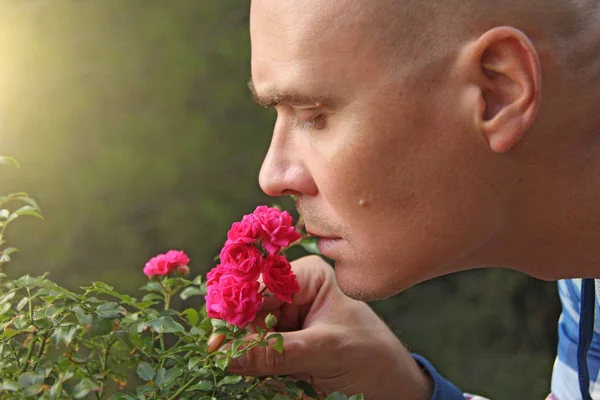 A bald man is sniffing pink roses. A touching man, emotions. Man on vacation. The island of Sicily, Italy.