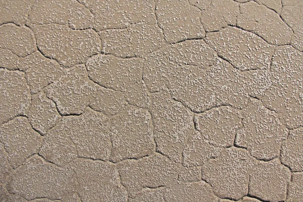贫瘠的地球。干燥开裂的地球背景。破裂的泥浆模式。土壤中的裂缝。Creviced 纹理。干旱的土地。环境干旱. — 图库照片