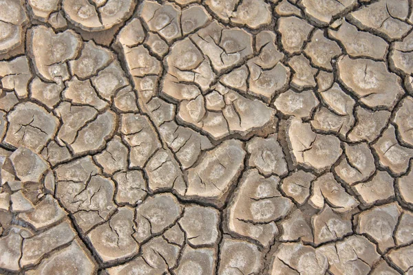 Barren bruin en beige aarde. Droge gebarsten aarde achtergrond. Gebarsten modder patroon. Bodem in scheuren. Creviced textuur. Droogte land. Milieu droogte. — Stockfoto