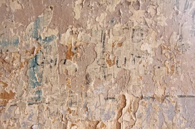 Tuğla duvar Pis, beyaz bir duvardan dökülen eski beyaz boya. Çatlaklar, sıyrıklar, eski çimento duvarının arka planında eski boya ve alçı. Eski bir beton duvar çatladı..