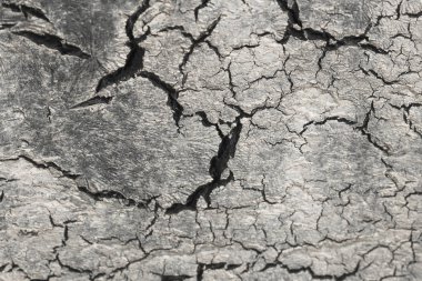 Siyah beyaz ve gri arka plan üzerinde çatlaklar. Gri ve beyaz arka plan. Çorak toprak. Kırık dünya arka plan kuru. Cracks.Creviced doku toprakta. Kuraklık arazi. Çevre kuraklık.