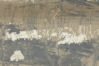 Eski lapa lapa boya soyulmuştu bir Grungy kırık duvar. Eski boya ve sıva eski çimento duvar arka plan üzerinde çatlaklar. Beyaz, gri ve bej noktalar boya. Bir çimento taş duvar eski Vintage kırık olarak.